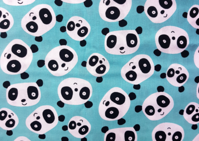 24 - Pandas